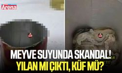 Meyve suyunda skandal! Yılan mı çıktı, küf mü?