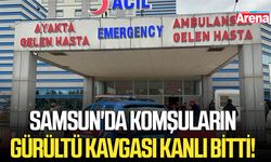 Samsun'da komşuların gürültü kavgası kanlı bitti!