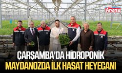 Çarşamba'da hidroponik maydanozda ilk hasat heyecanı