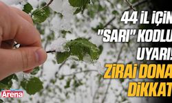 44 il için "sarı"kodlu uyarı! Zirai dona dikkat