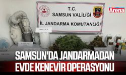 Samsun'da jandarmadan evde kenevir operasyonu