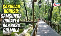 Çakırlar Korusu: Samsun’da doğayla baş başa bir mola