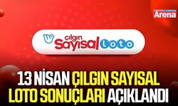 13 Nisan Çılgın Sayısal Loto sonuçları açıklandı