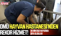 OMÜ Hayvan Hastanesi’nden rekor hizmet!