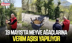 19 Mayıs’ta meyve ağaçlarına verim aşısı yapılıyor
