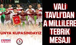 Samsun Valisi Tavlı’dan A millilere tebrik mesajı