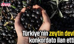 Türkiye’nin zeytin devi konkordato ilan etti