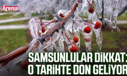 Samsunlular dikkat: O tarihte don geliyor