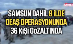 Samsun dahil 8 ilde DEAŞ operasyonu