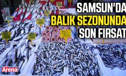 Samsun'da balık sezonunda son fırsat