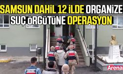 Samsun dahil 12 ilde organize suç örgütüne operasyon