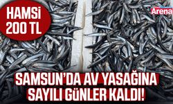 Samsun’da av yasağına sayılı günler kaldı!
