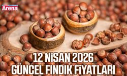 12 Nisan 2026 güncel fındık fiyatları