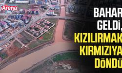 Bahar geldi, Kızılırmak kırmızıya döndü
