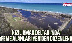 Kızılırmak Deltası’nda üreme alanları yeniden düzenlendi
