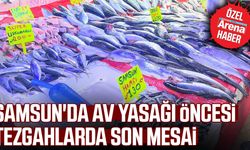 Samsun'da av yasağı öncesi tezgahlarda son mesai