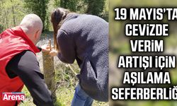 19 Mayıs’ta cevizde verim artışı için aşılama seferberliği