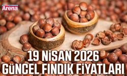19 Nisan güncel fındık fiyatları