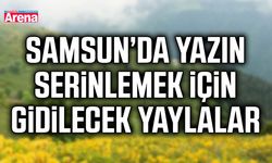 Samsun’da yazın serinlemek için gidilecek yaylalar