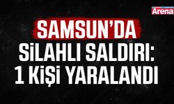 Samsun Terme'de silahlı saldırıda 1 kişi yaralandı