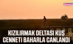 Kızılırmak Deltası Kuş Cenneti baharla canlandı