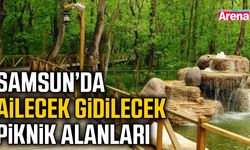 Samsun’da ailecek gidilecek piknik alanları