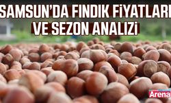 Samsun’da fındık fiyatları ve sezon analizi