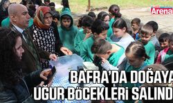 Bafra’da doğaya uğur böcekleri salındı