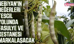 Samsun'da Nebiyan ürünleri markalaşıyor