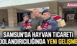 Samsun'da hayvan ticareti dolandırıcılığında yeni gelişme