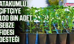 Atakumlu çiftçiye 100 bin adet sebze fidesi desteği