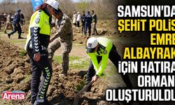 Samsun'da şehit polis Emre Albayrak için hatıra ormanı oluşturuldu