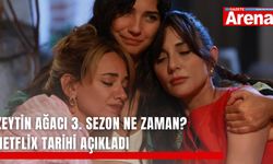 Zeytin Ağacı 3. sezon ne zaman? Netflix tarihi açıkladı