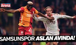 Samsunspor Aslan avında!