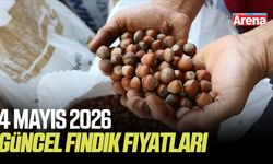 4 Mayıs 2026 güncel fındık fiyatları