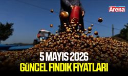 5 Mayıs 2026 güncel fındık fiyatları