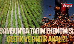 Samsun'da tarım ekonomisi: Çeltik ve fındık analizi