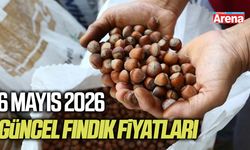 6 Mayıs 2026 güncel fındık fiyatları