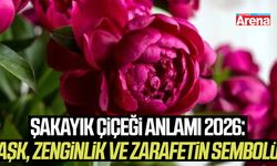 Şakayık Çiçeği anlamı 2026: Aşk, zenginlik ve zarafetin sembolü