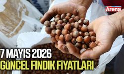 7 Mayıs 2026 güncel fındık fiyatları