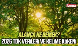 Alança ne demek? 2026 TDK verileri ve kelime kökeni