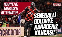 Samsunspor Senegalli golcü için harekete geçti