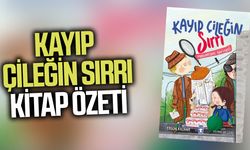 Kayıp çileğin sırrı kitap özeti