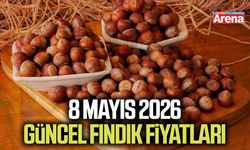 8 Mayıs 2026 güncel fındık fiyatları