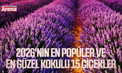 2026'nın en popüler ve en güzel kokulu 15 çiçekler