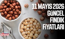 11 Mayıs 2026 güncel fındık fiyatları
