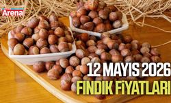 12 Mayıs 2026 güncel fındık fiyatları