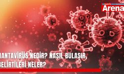 Hantavirüs nedir? Nasıl bulaşır, belirtileri neler?