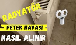 Petek Havası Nasıl Alınır?