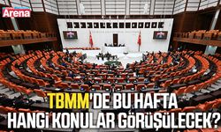 TBMM'de bu hafta hangi konular görüşülecek?